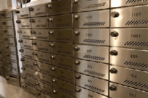 配布開始・日報でのご報告